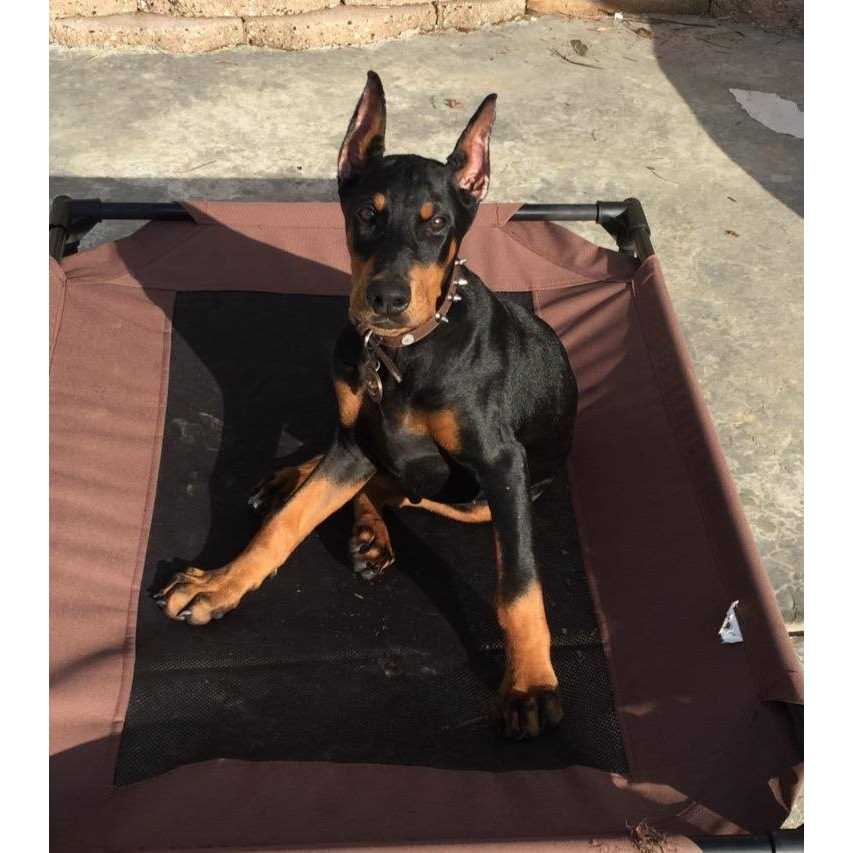 Uni-Solve Adhesive Remover - MT - Mrs Treak