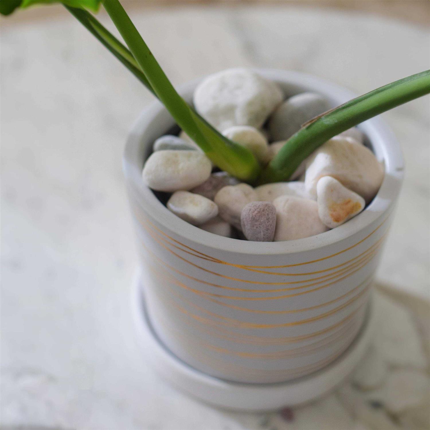 Williams WS-476 6 Piece Adjustable Pin Spanner Wrench Set - MT - Mrs Treak