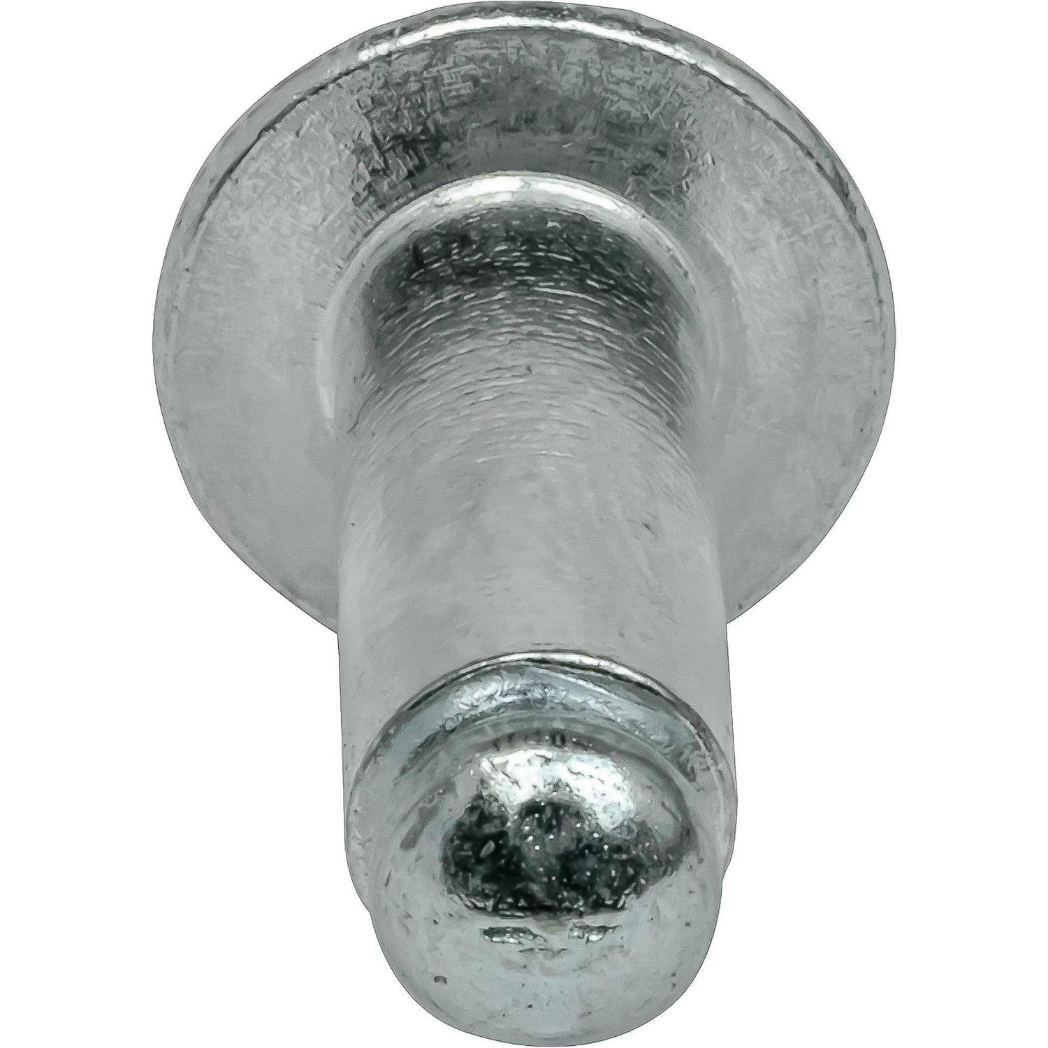 Dome Head Pop Rivets Steel 100 - MT - Mrs Treak