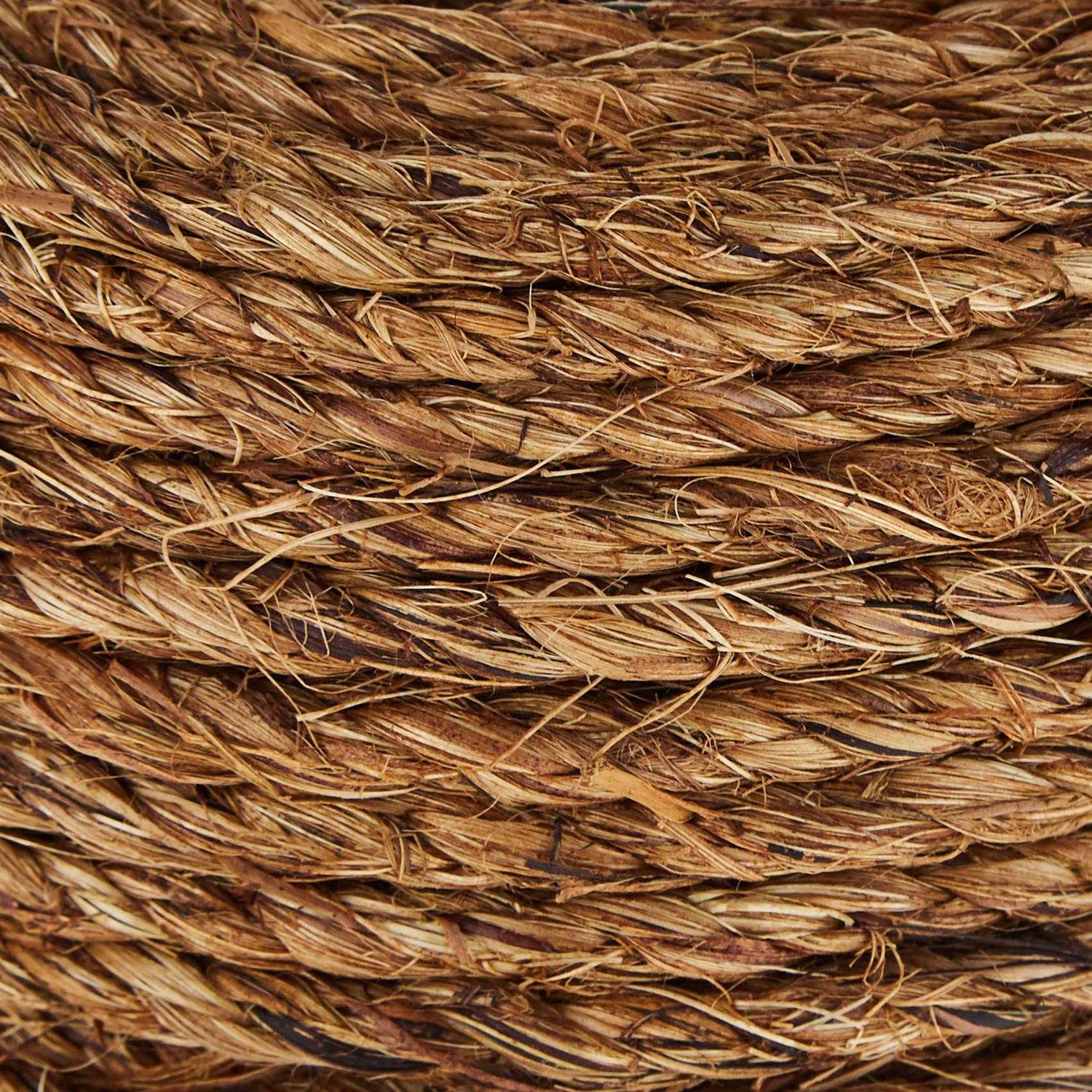 T.W. Evans Cordage 1/8 in. x 50 ft. Elastic Bungee Shock Cord SC-108-050 - MT - Mrs Treak