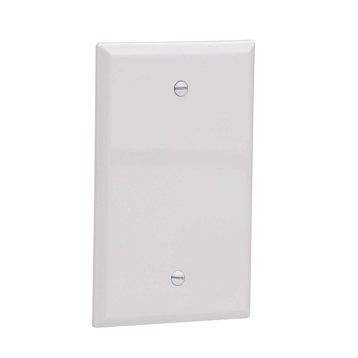 Eaton 1-Gang Jumbo Duplex Wall Plate 2142W-F-LW - MT - Mrs Treak