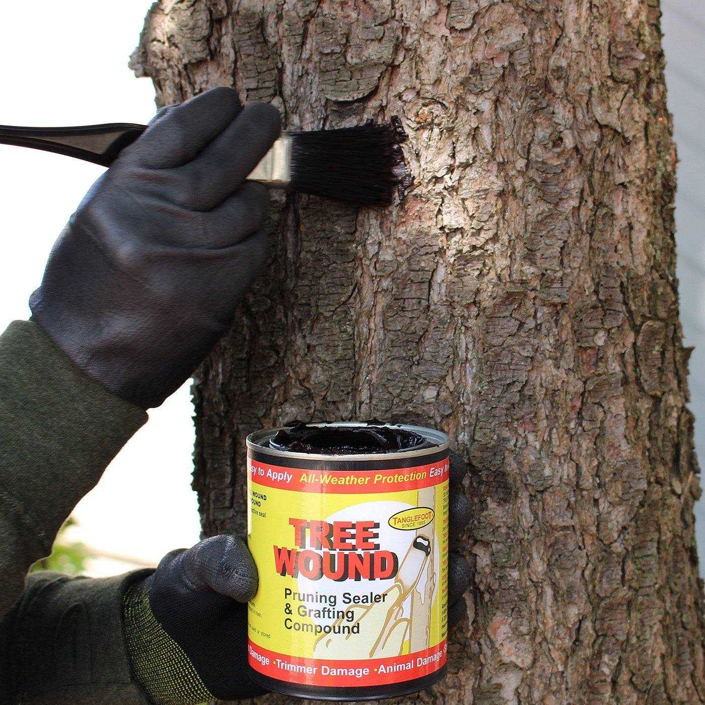 Tanglefoot Tree Pruning Sealer - MT - Mrs Treak