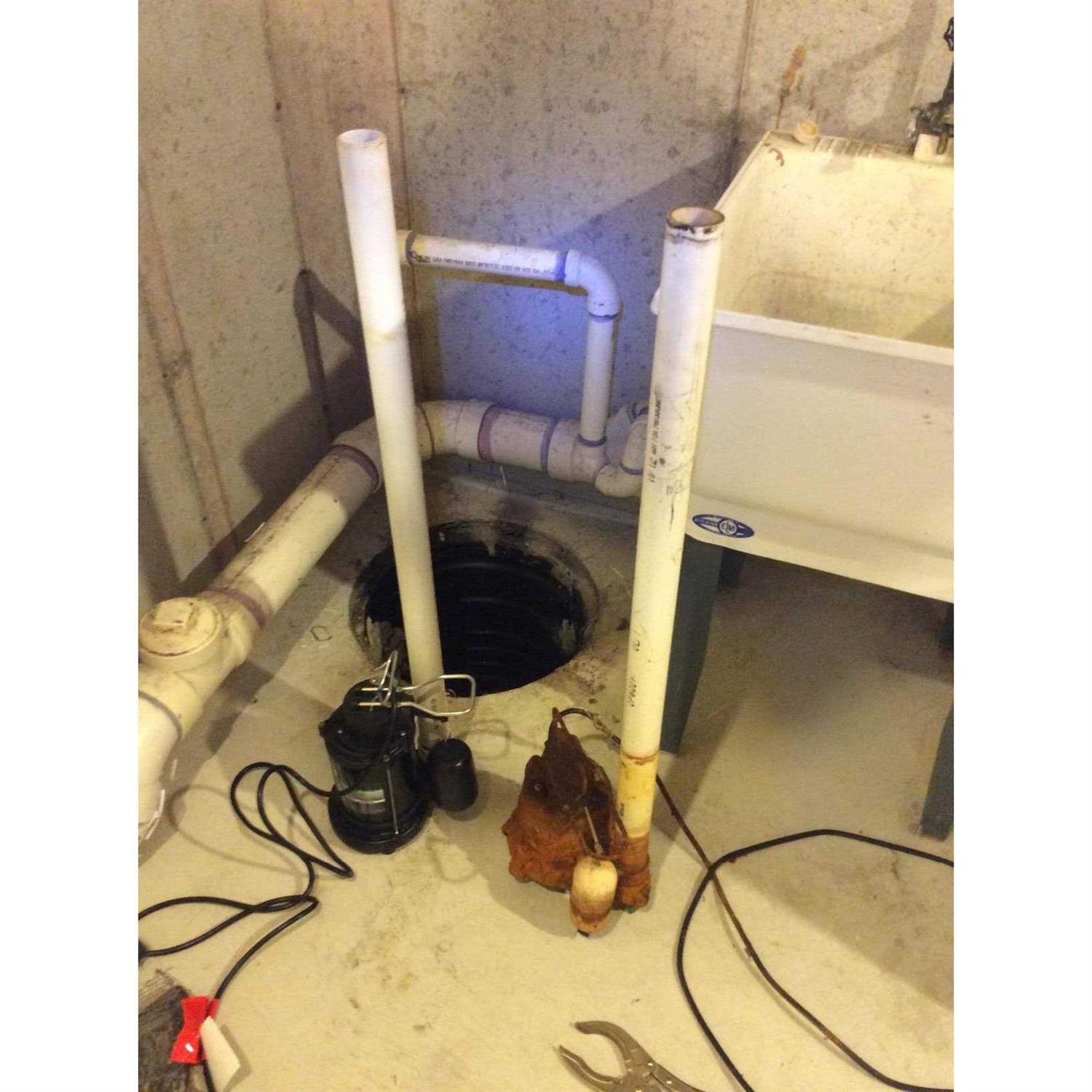 Wayne 1/2 HP Thermoplastic Sump Pump SPF50 - MT - Mrs Treak