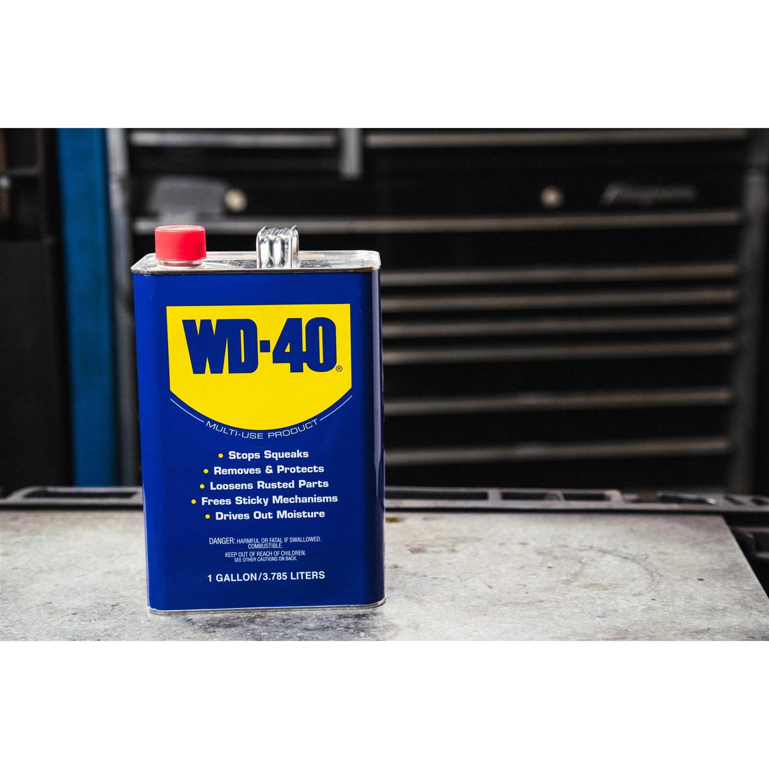 WD-40 Lubricant - MT - Mrs Treak