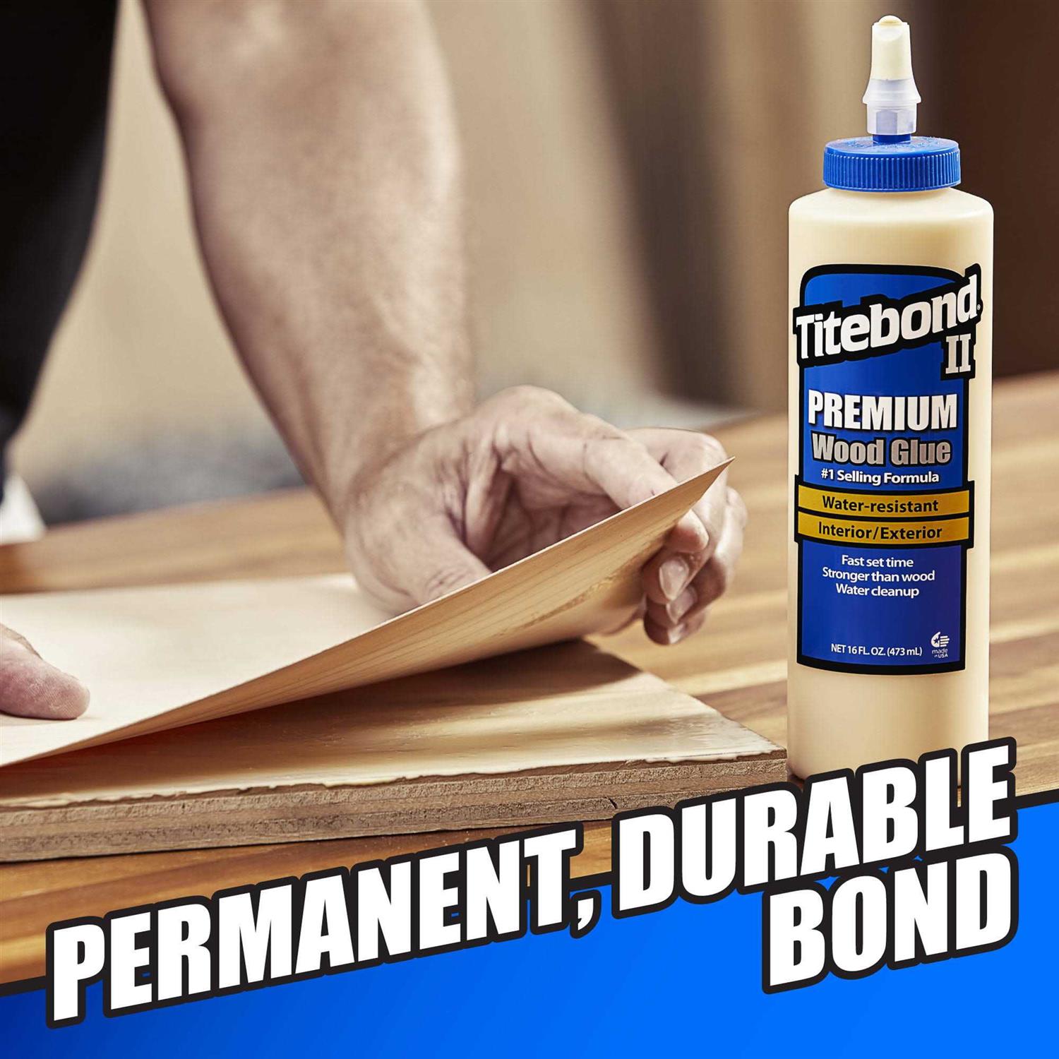 Titebond II Premium Wood Glue - MT - Mrs Treak