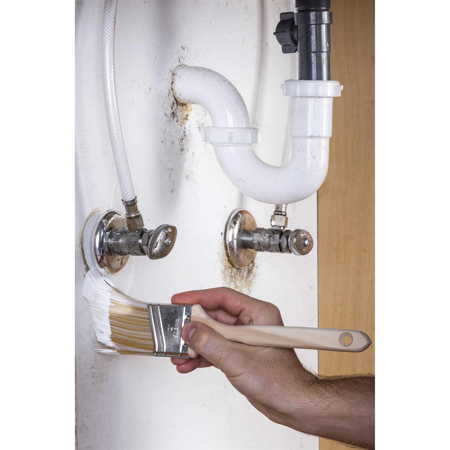 Zinsser Mold Killing Primer - MT - Mrs Treak