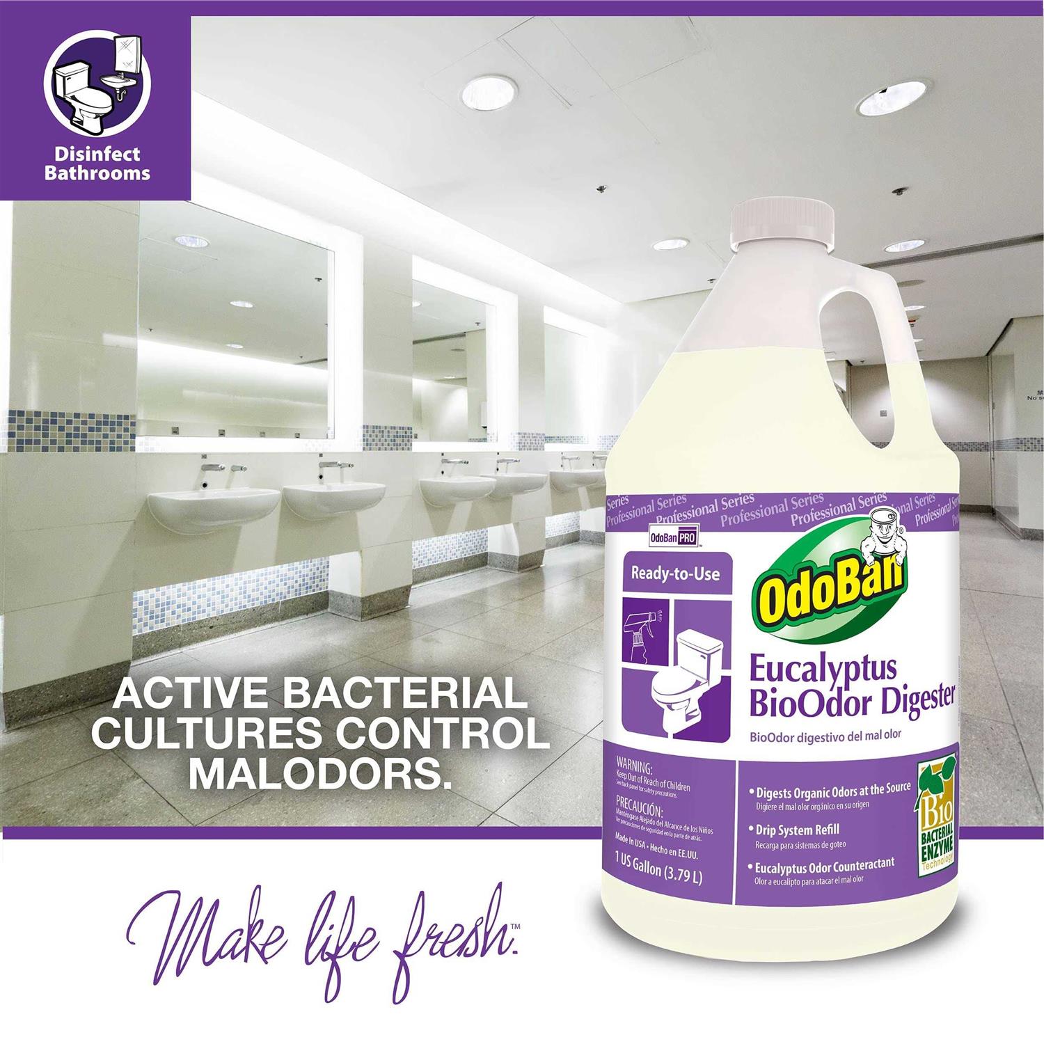 ODL Rain 8 in. x 1 in. with White Frame View Side Lite - MT - Mrs Treak