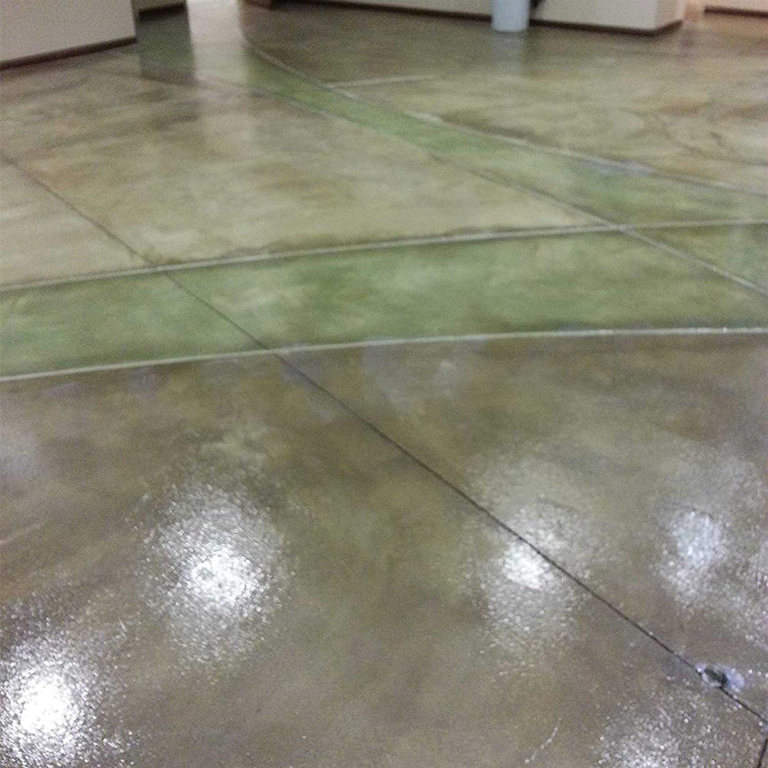 EcoProCote Eco-Poly Wood Floor and Concrete Finish and Sealer - MT - Mrs Treak