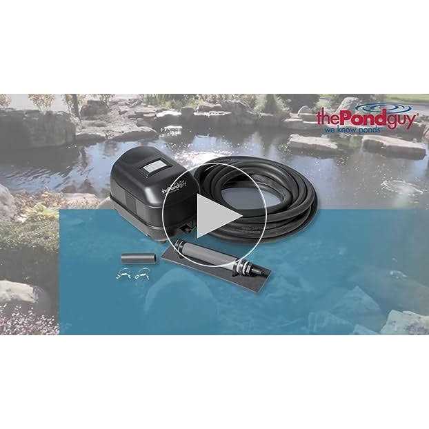 The Pocket Lighter - MT - Mrs Treak