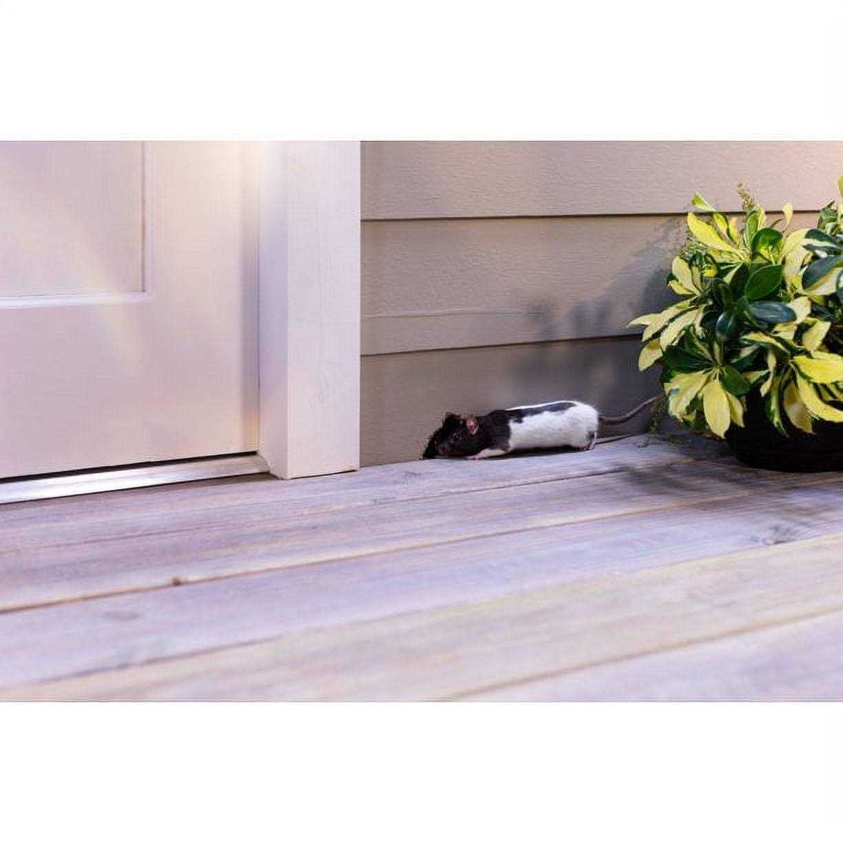 Flex Paste Rubber Paste - MT - Mrs Treak