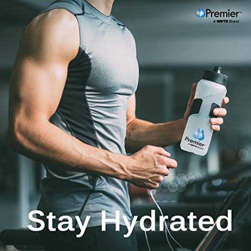 Watts Premier WP531152 RO Pure 4 Pack Replacement Filters - MT - Mrs Treak