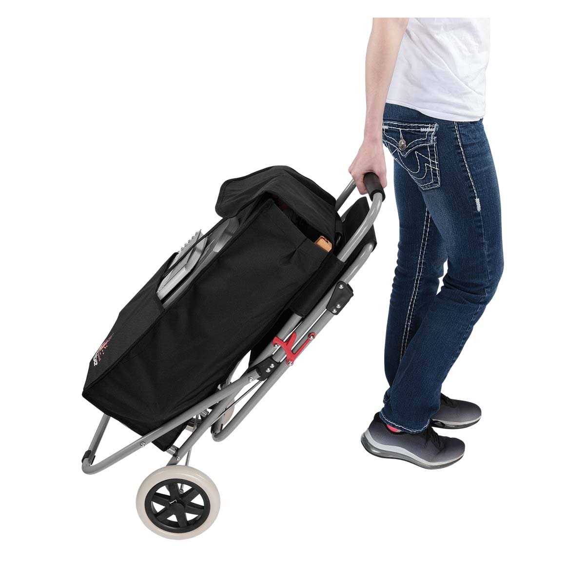 The Antser Ant-Proof Barrier - MT - Mrs Treak