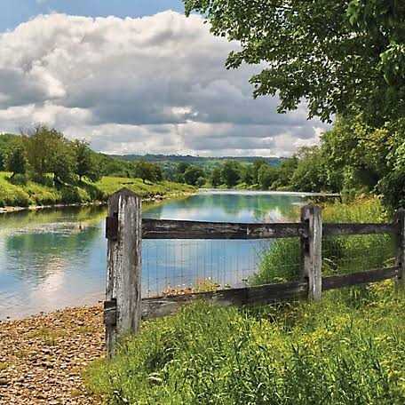 YardGard Chain Link Post Hinge - MT - Mrs Treak