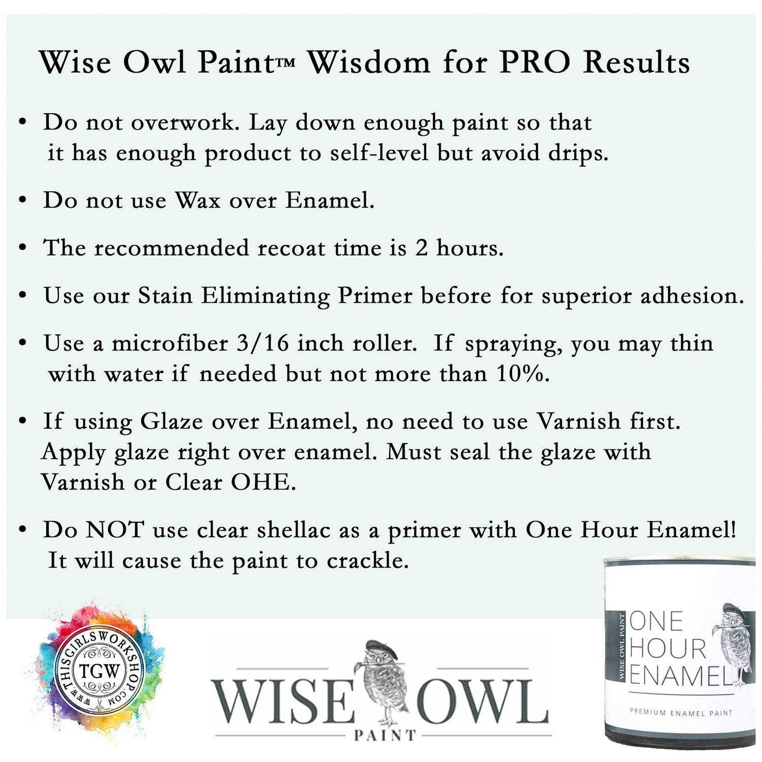Wise Owl One Hour Enamel Paint - MT - Mrs Treak
