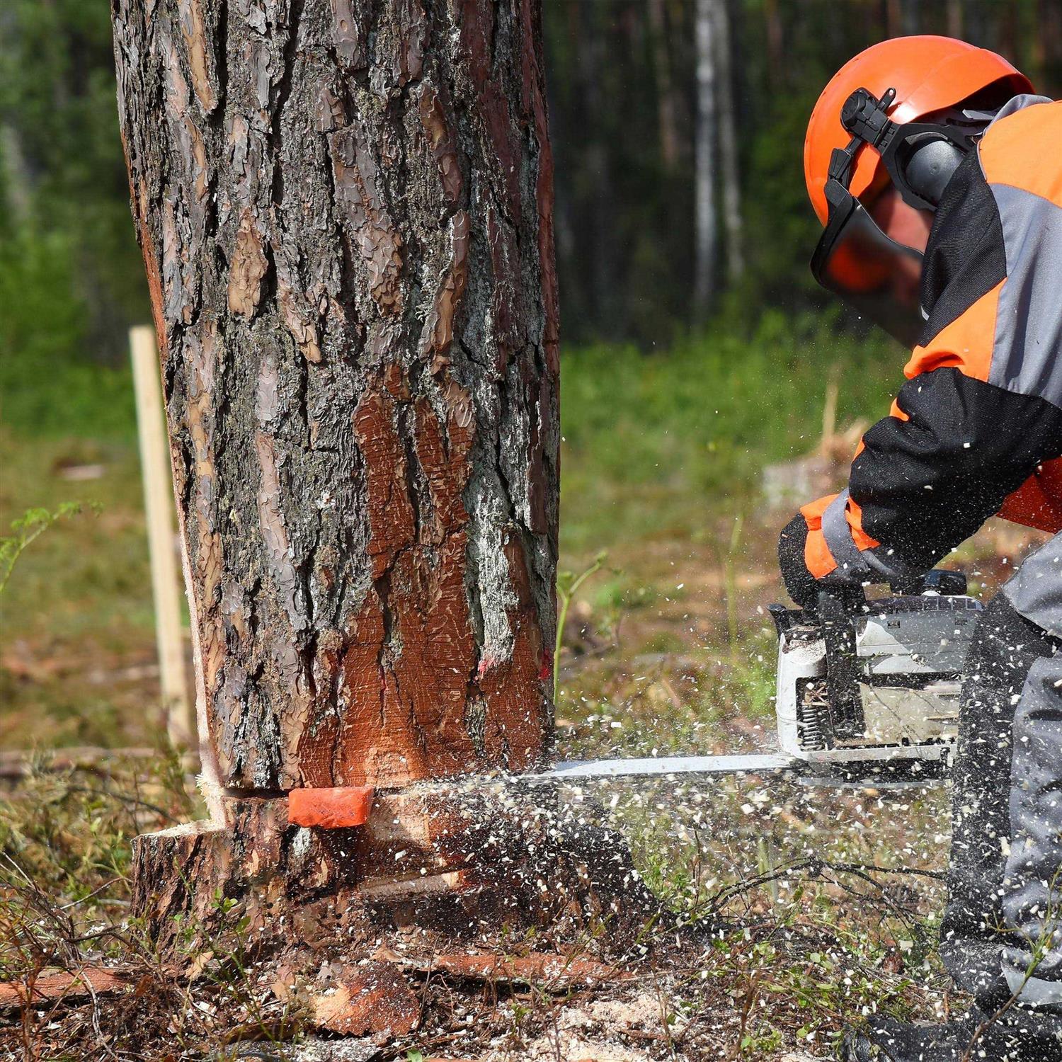 UNC x Imperial Socket Cup Point Set Screws - MT - Mrs Treak