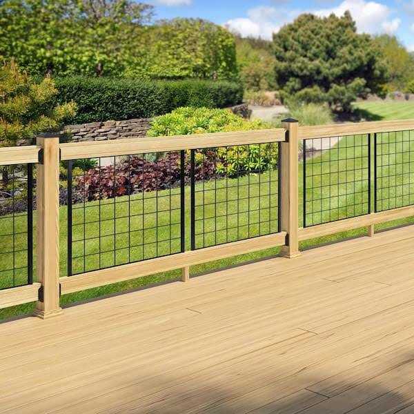 Provincial Glass Pivot Door Renin - MT - Mrs Treak