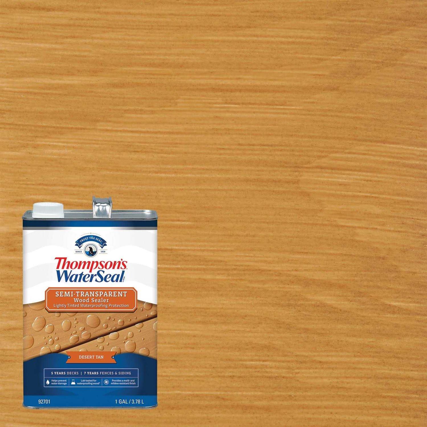 Thompson’s WaterSeal Solid Waterproofing Wood Stain & Sealer - MT - Mrs Treak