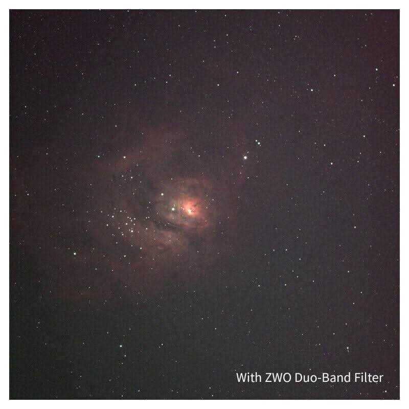 Zwilling V-Edge Sharpener - MT - Mrs Treak