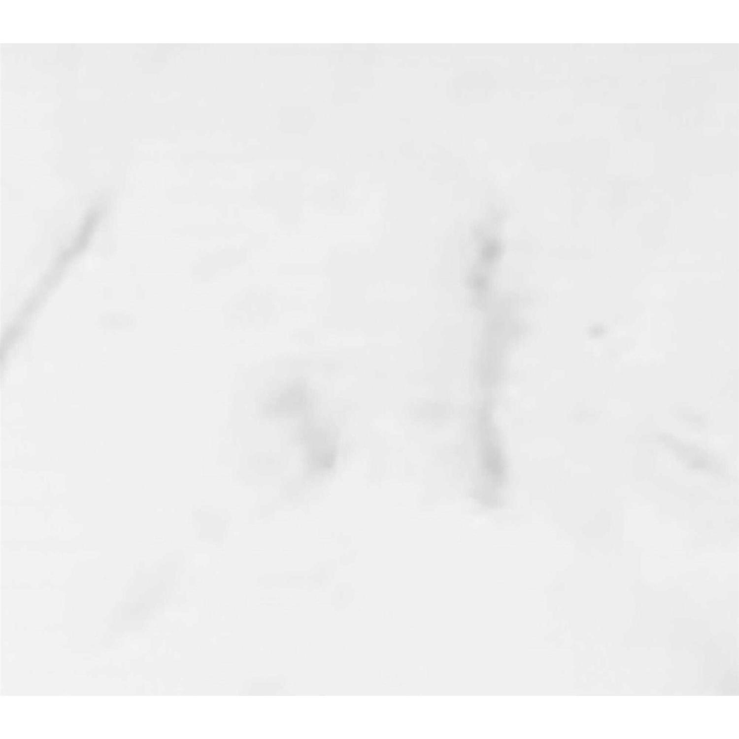 Winette 25-in Carrara White Quartz Undermount Single Sink 3-Hole Bathroom Vanity Top WVTQ1402-25 - MT - Mrs Treak