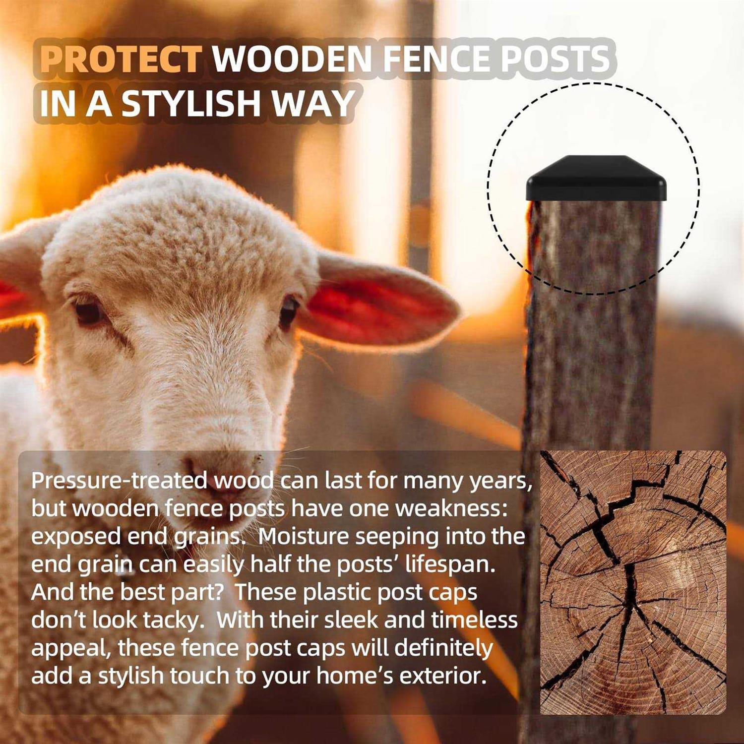 Tone BRFS27 Bit Ratchet Set Bit Insertion & 1/4-Inch - MT - Mrs Treak