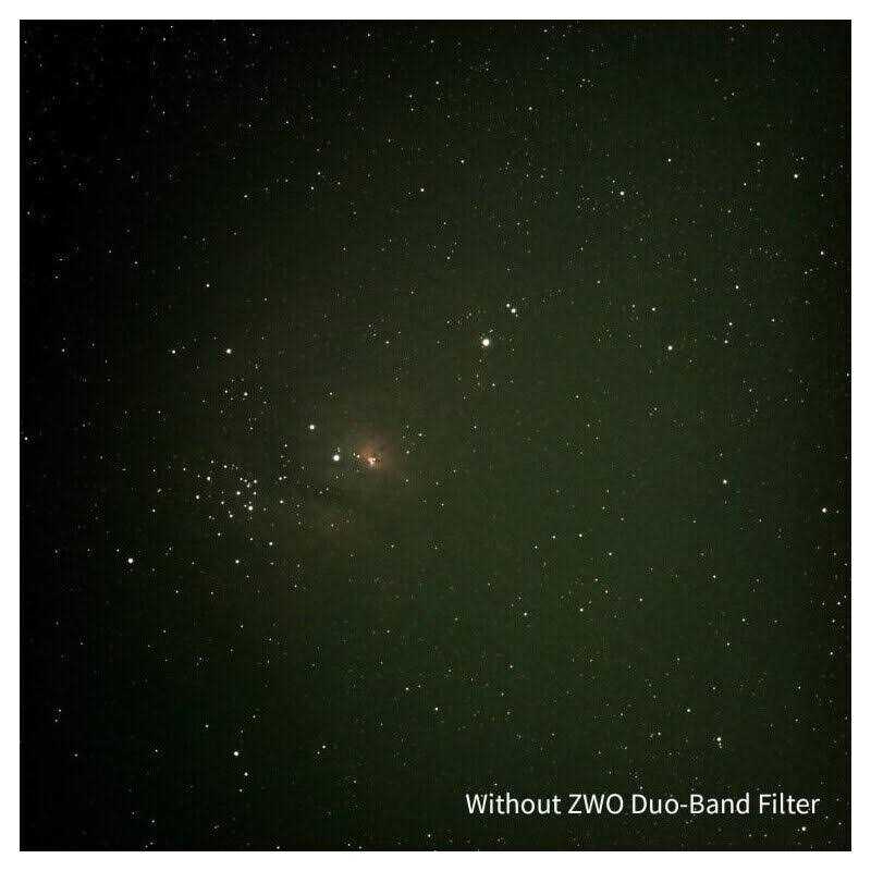 Zwilling V-Edge Sharpener - MT - Mrs Treak