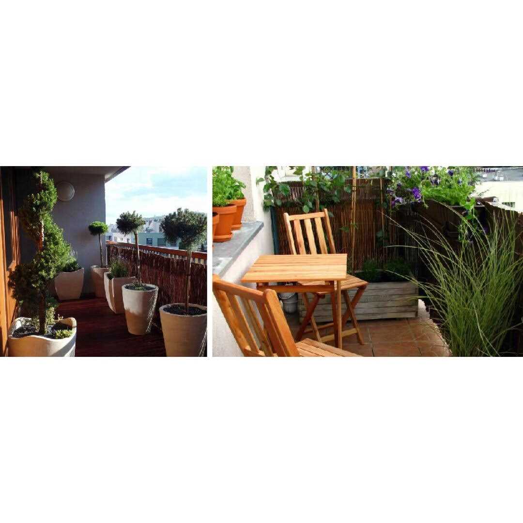 Twig Wood Privacy Screen MGP - MT - Mrs Treak