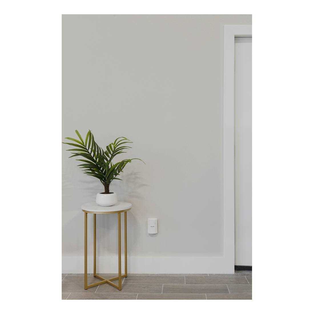 Philips Outdoor Lighting Control Plug-in with Wireless Remote 80ft. Range - MT - Mrs Treak