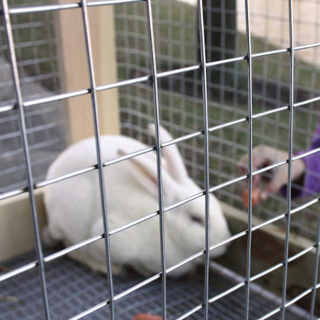 Yardgard 309312A 24 inch by 25 Foot 16 Gauge 1 inch by 1 inch Mesh Galvanized Welded Wire - MT - Mrs Treak