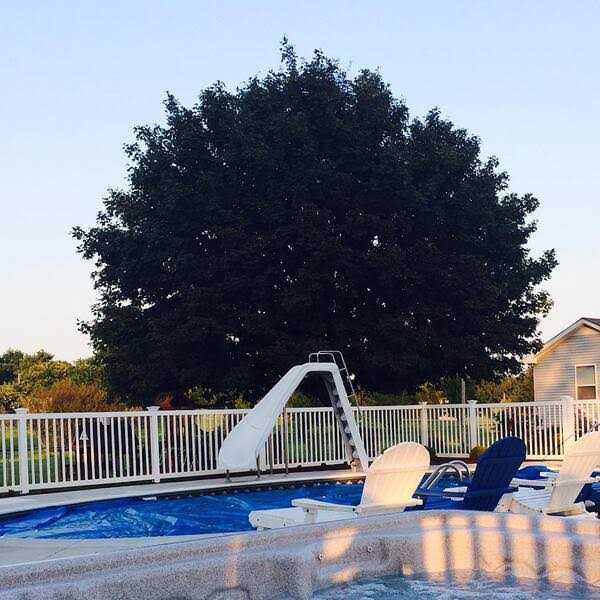 Weatherables H x 8 ft. W - MT - Mrs Treak