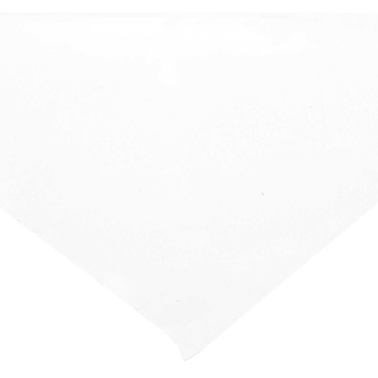 Frost King P350BW Polyethylene Sheeting 50 ft L - MT - Mrs Treak