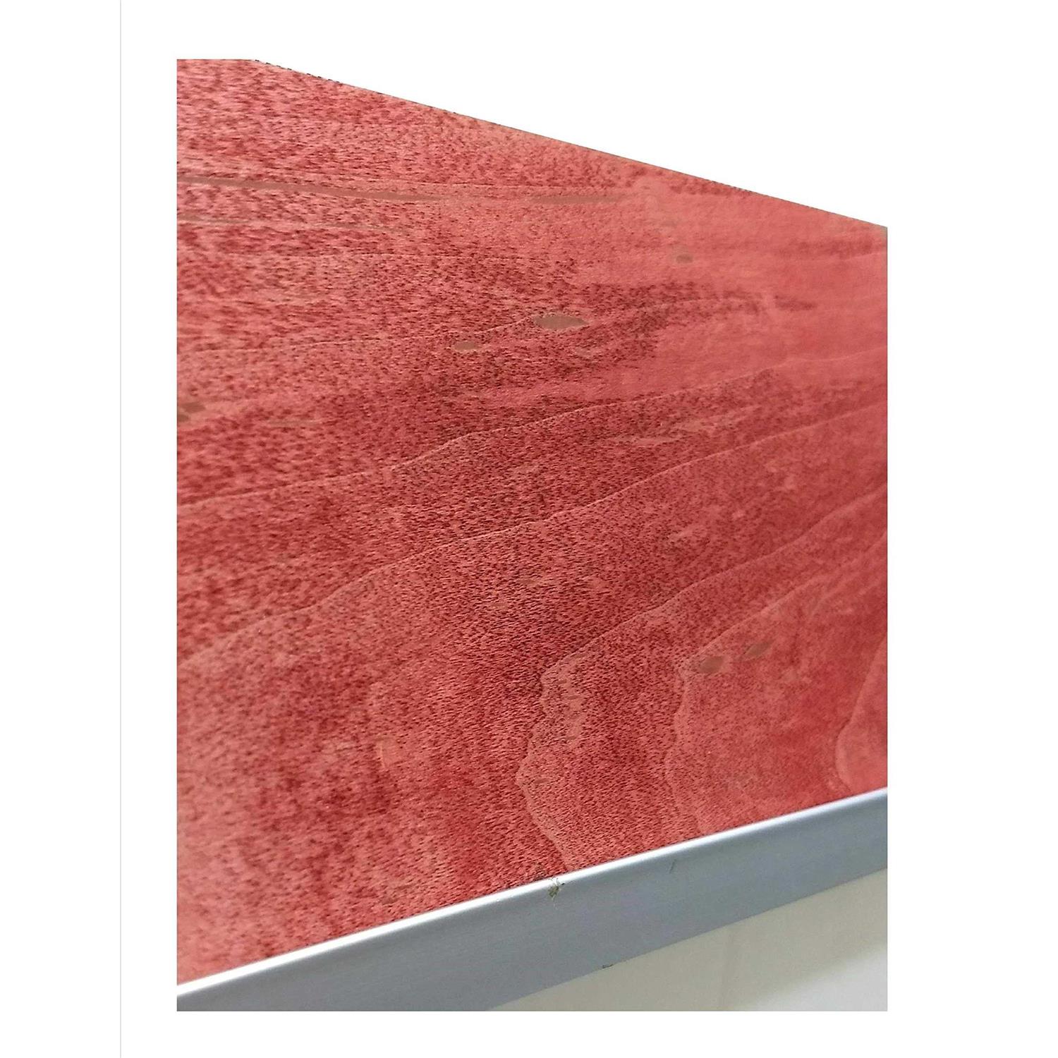 Wood Defender Transparent Fence Stain - MT - Mrs Treak