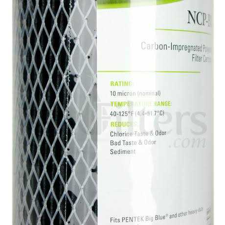 Pentek GAC-BB Carbon Water Filter 155153-43 - MT - Mrs Treak