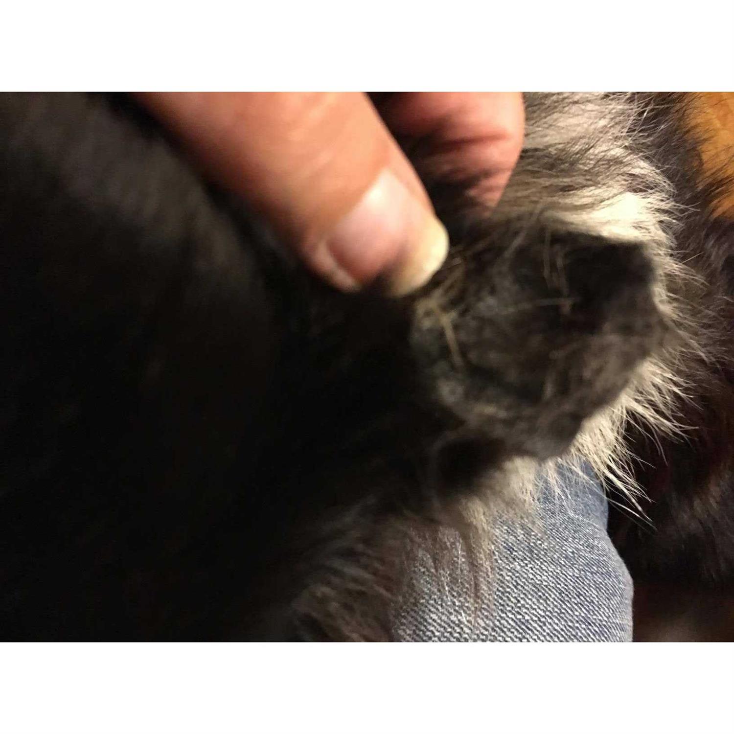 Uni-Solve Adhesive Remover - MT - Mrs Treak