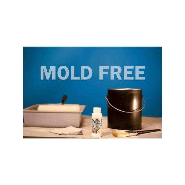 Paint Zoom Handheld Professional Painting Machine Kit – 2023 Version - MT - Mrs Treak