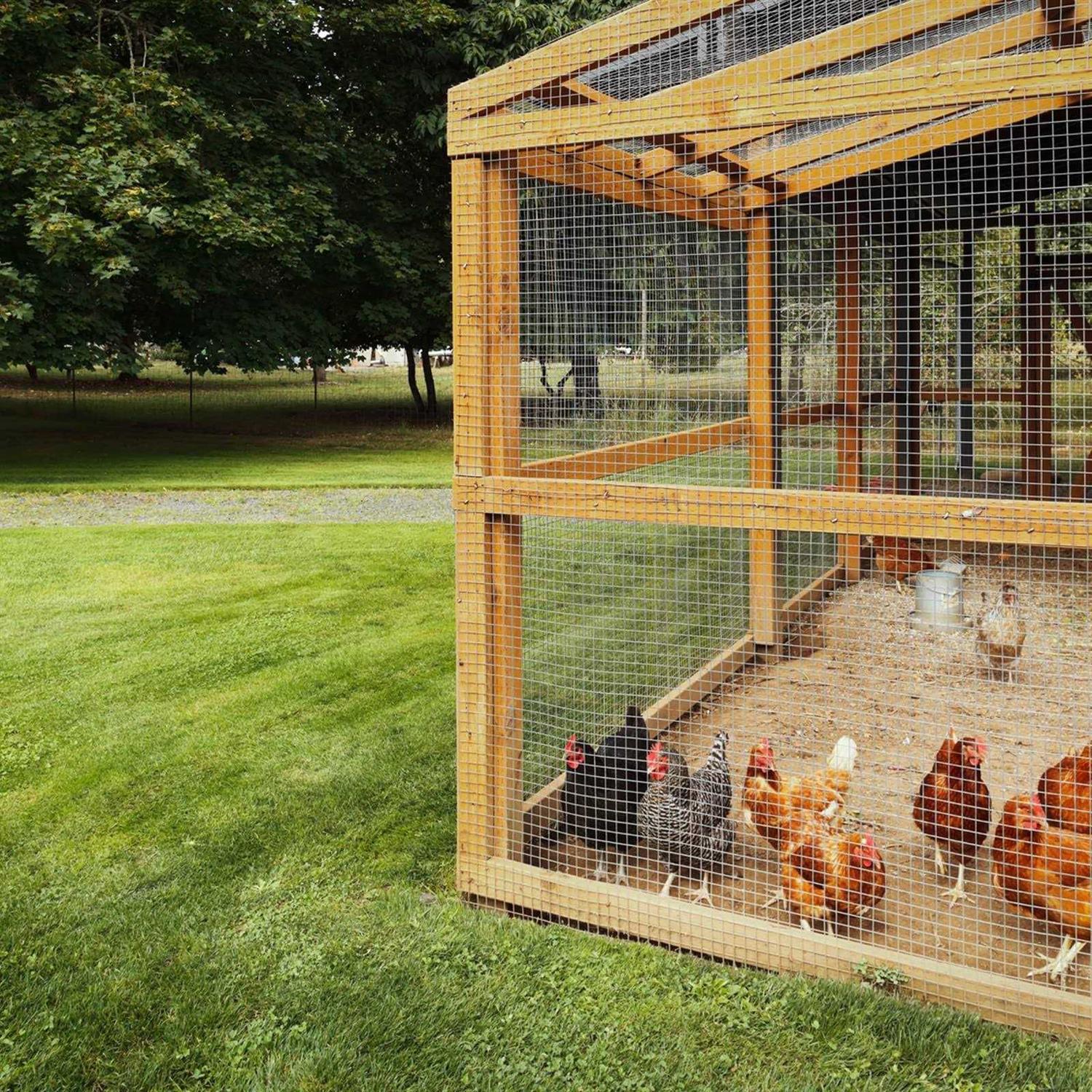 forimo 50′ Hardware Cloth Gauge Black Vinyl Coated Welded Fence Mesh for Home and Garden Fence and Home Improvement Project - MT - Mrs Treak