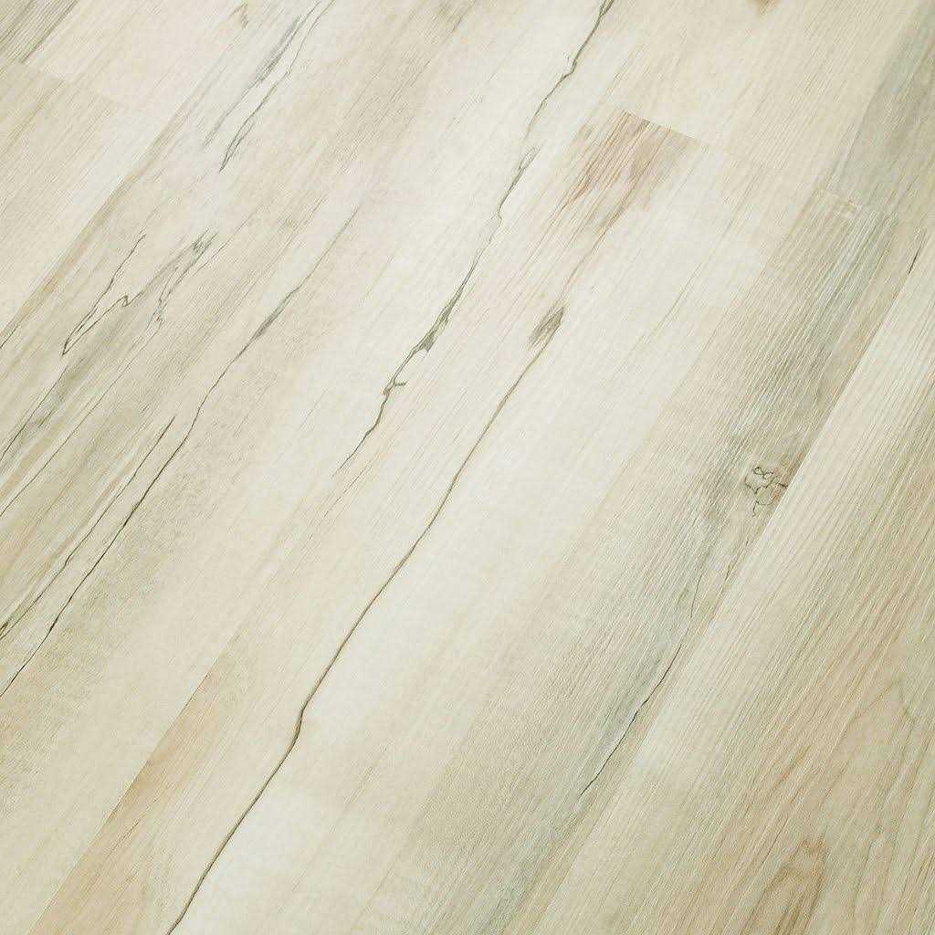 Shaw Floors Shaw Islander 8 x 8 Garden Way CS50Z 00641 - MT - Mrs Treak