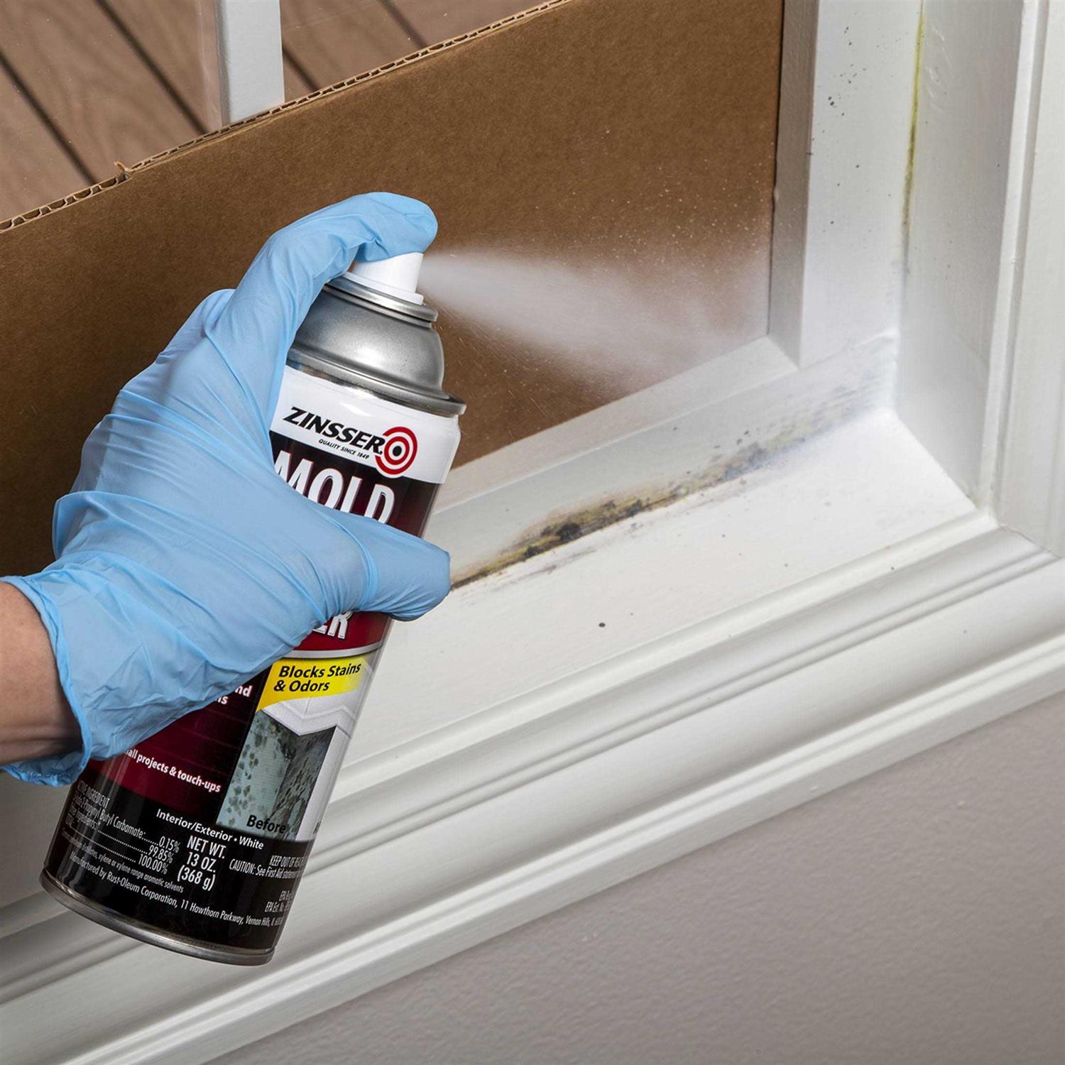 Zinsser Mold Killing Primer 276049 - MT - Mrs Treak