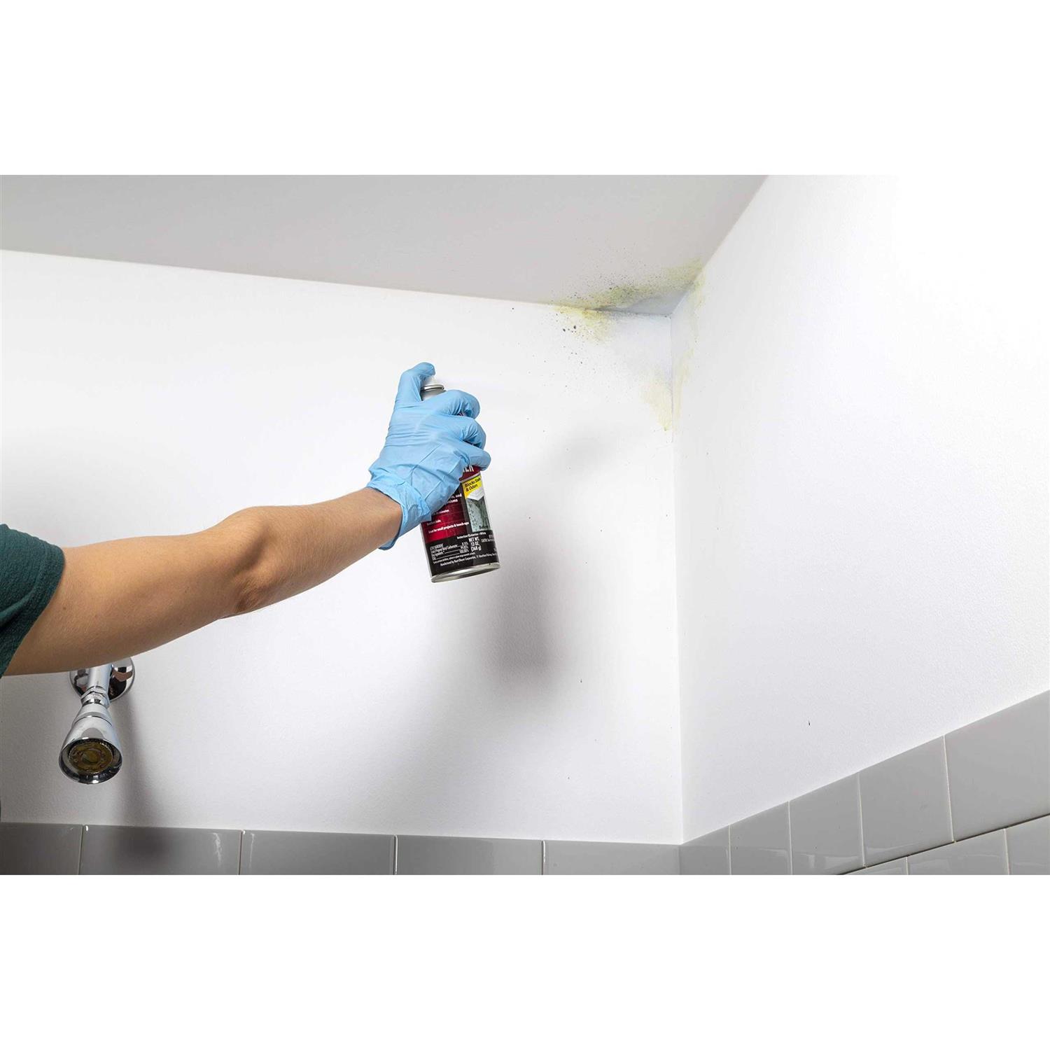 Zinsser Mold Killing Primer 276049 - MT - Mrs Treak