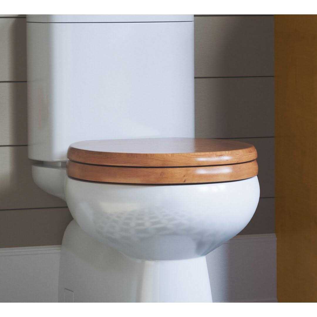 Design House Dalton Round Toilet Seat 561241 - MT - Mrs Treak