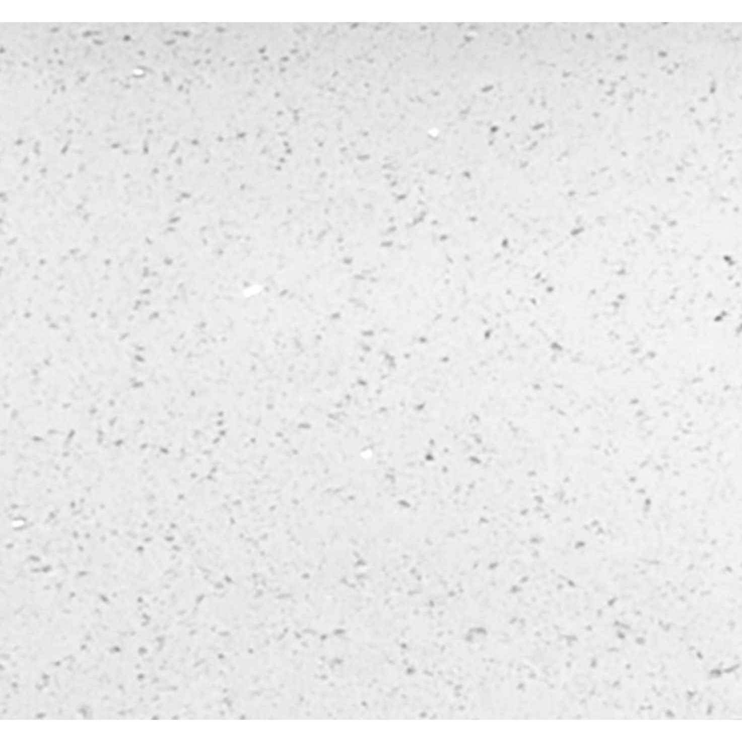 Winette 31 White Undermount Single Sink 3-Hole Bathroom Vanity Top Marble WVT - MT - Mrs Treak