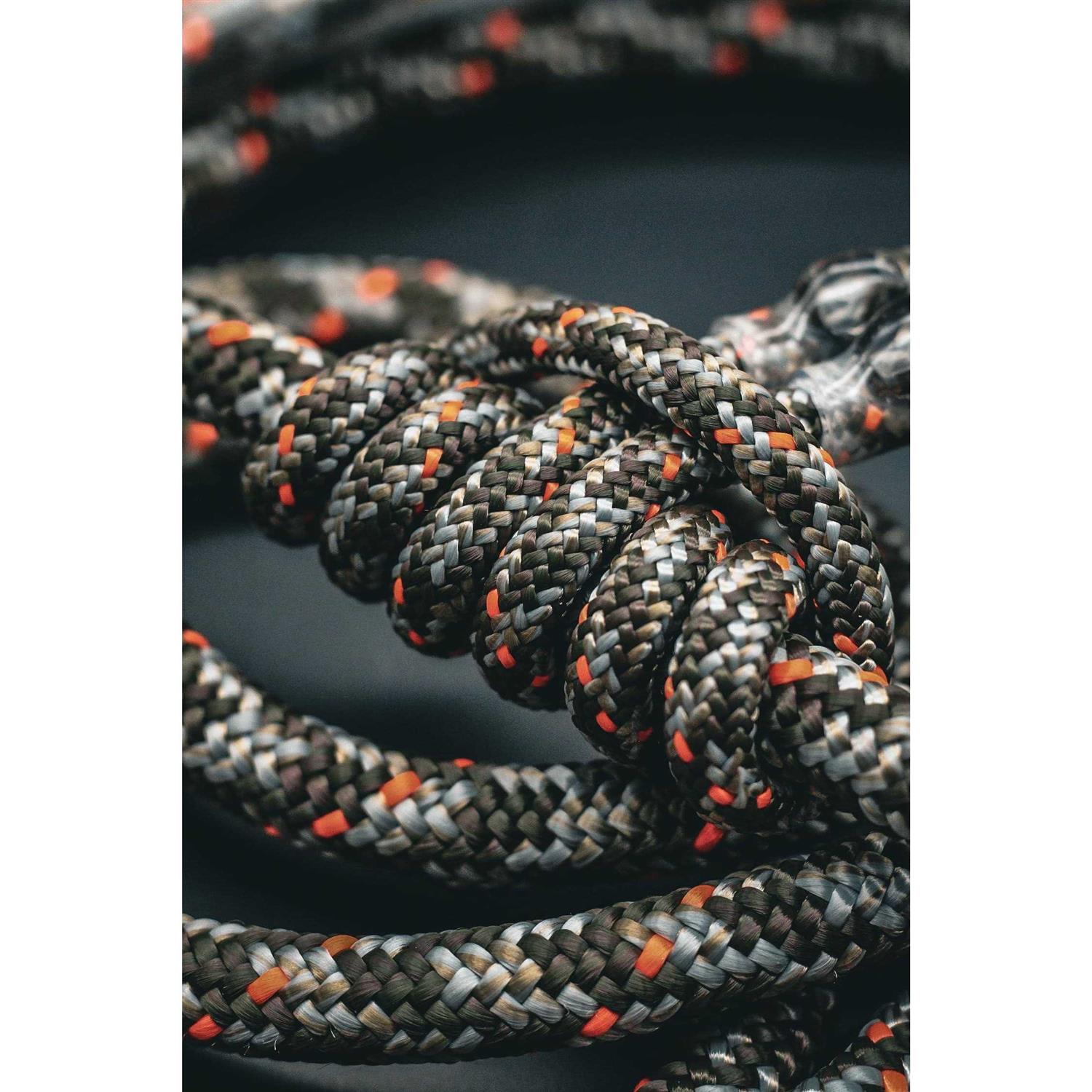 Zoo Med ReptiTemp Digital Thermostat - MT - Mrs Treak