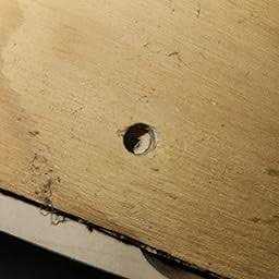 Woodriver Paint Brush Set 12-Pieces - MT - Mrs Treak