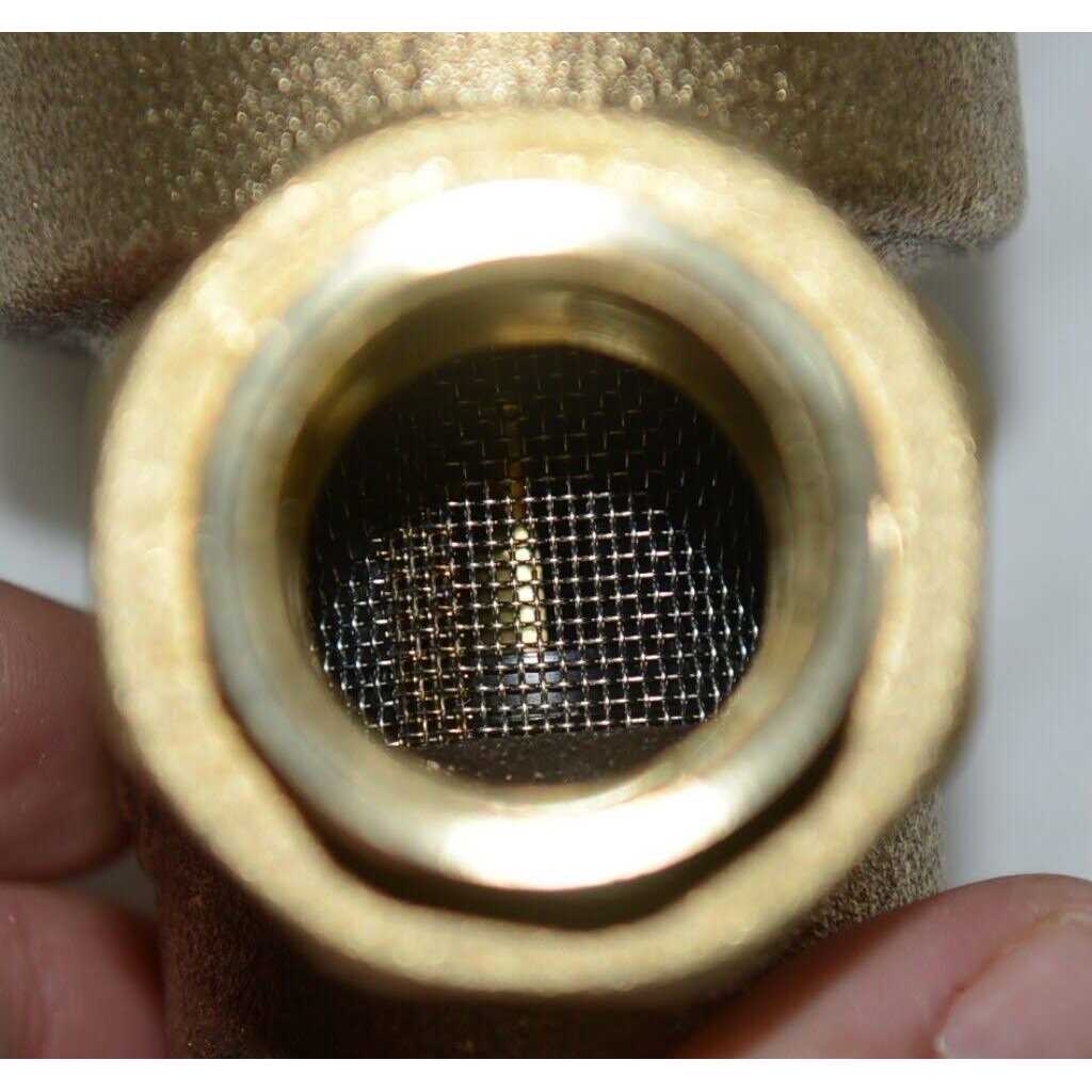 Watts Wall Hydrant HY 430 - MT - Mrs Treak