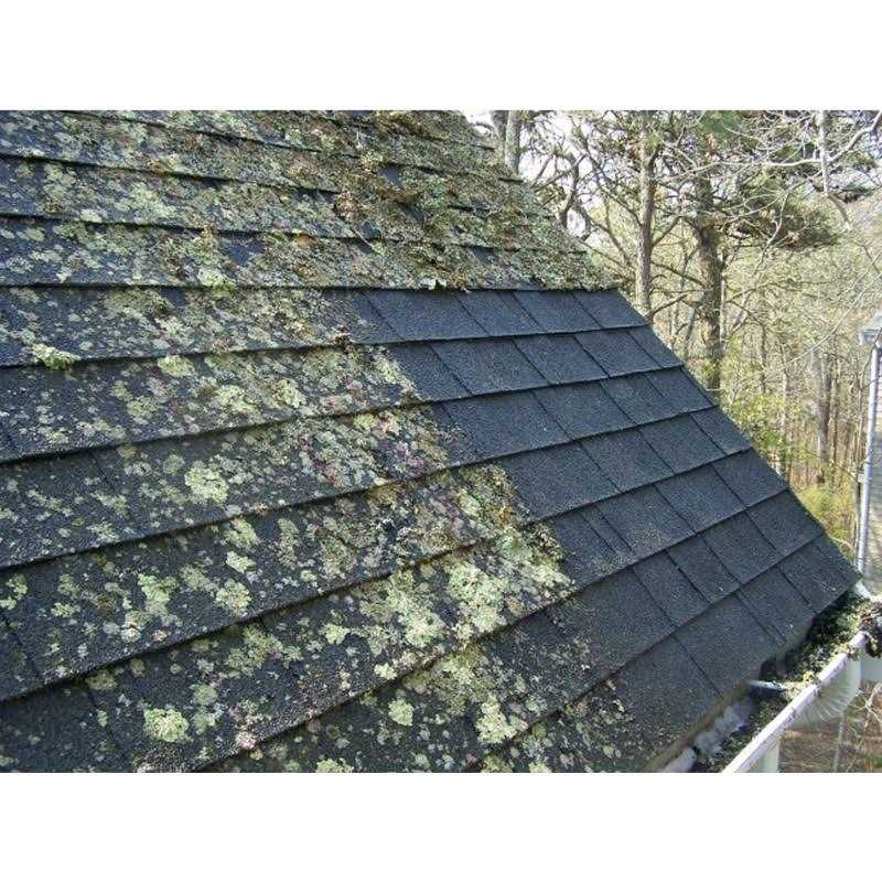 Warthog V-Sharp A4 Knife Sharpener - MT - Mrs Treak