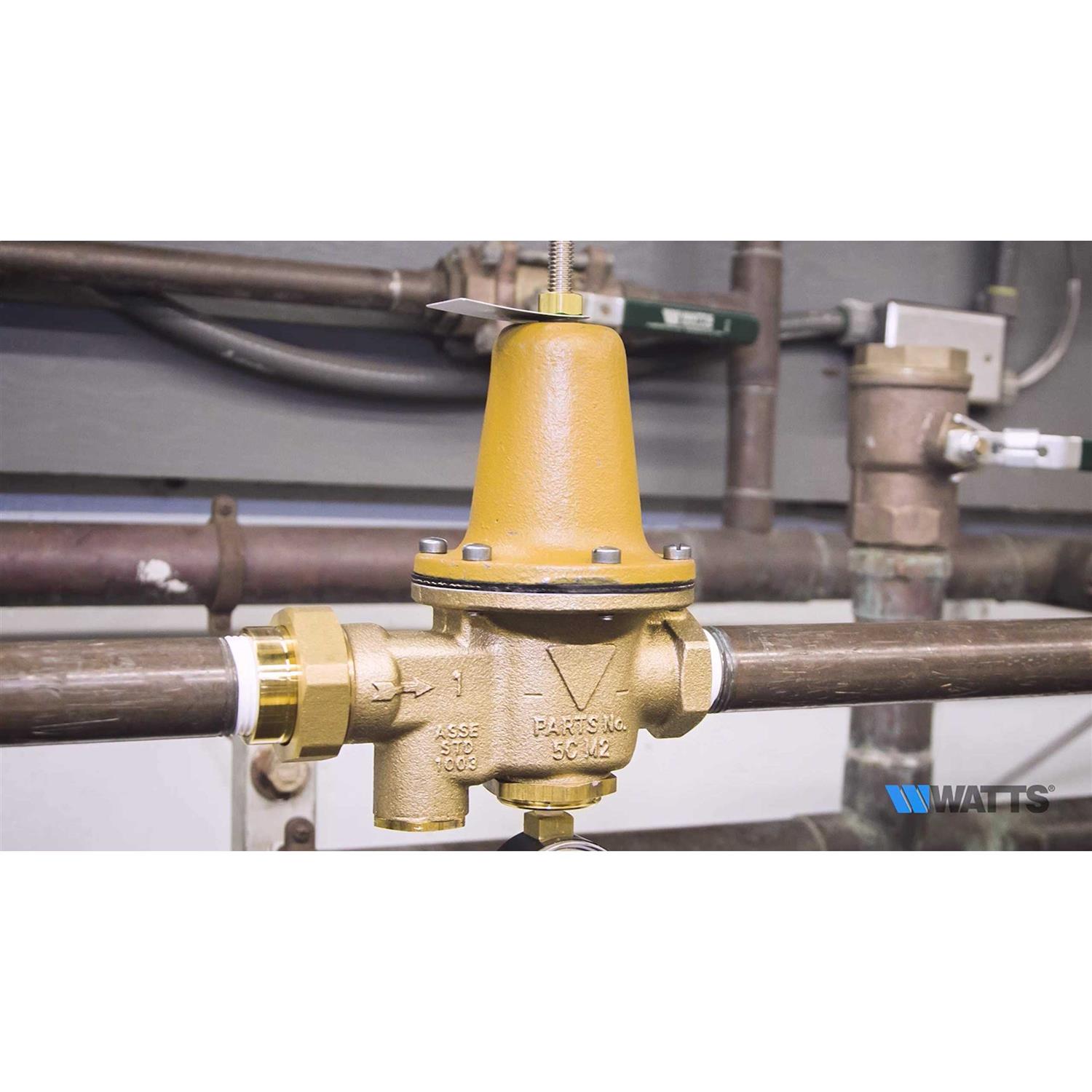 Watkins Replacement Water Check Valve for Hot Springs Spa - MT - Mrs Treak