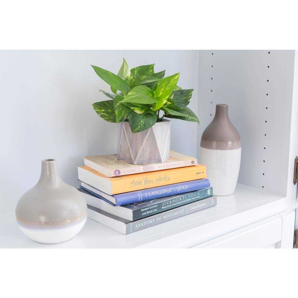 Varathane Whitewash Wood Enhancer - MT - Mrs Treak