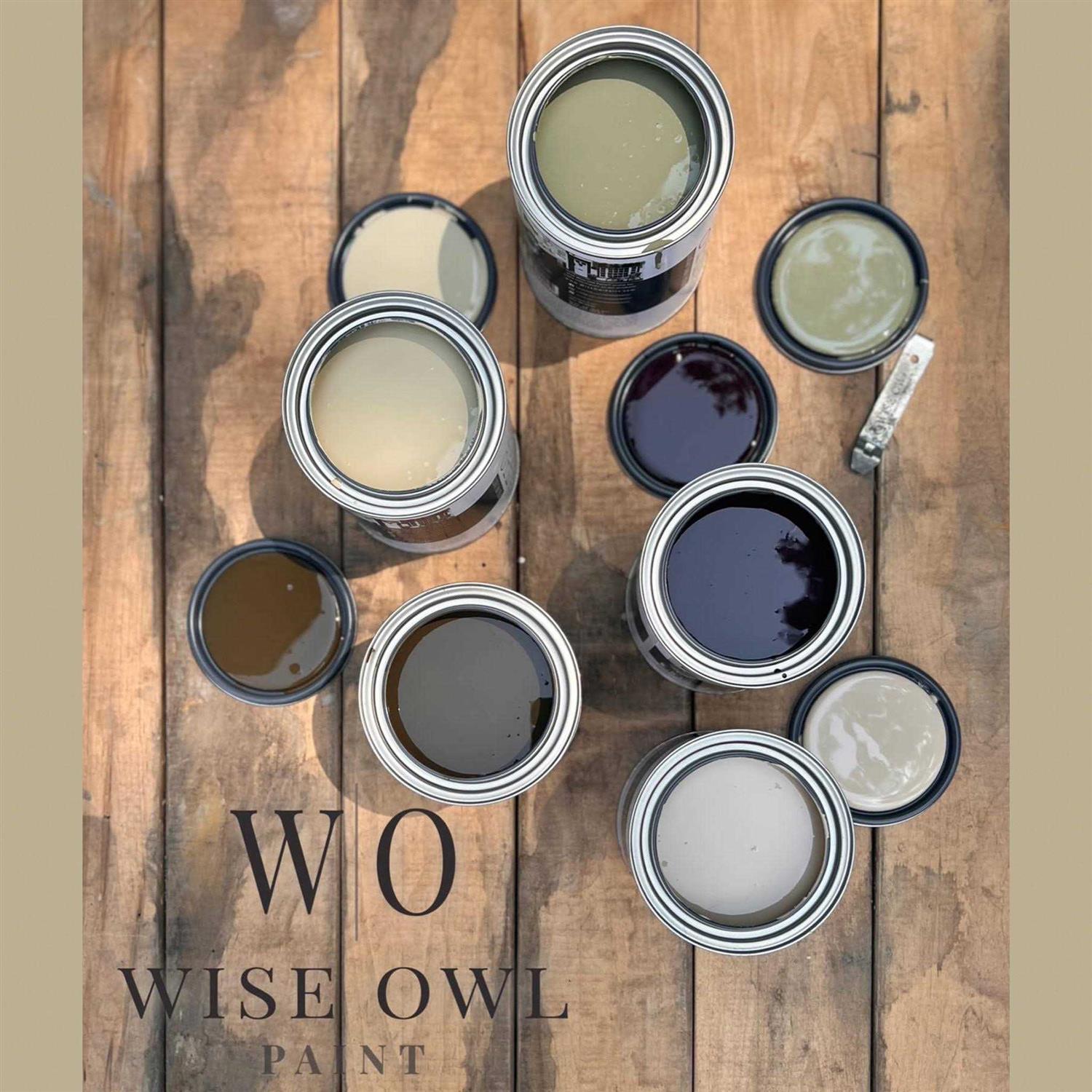 Wise Owl One Hour Enamel Paint - MT - Mrs Treak