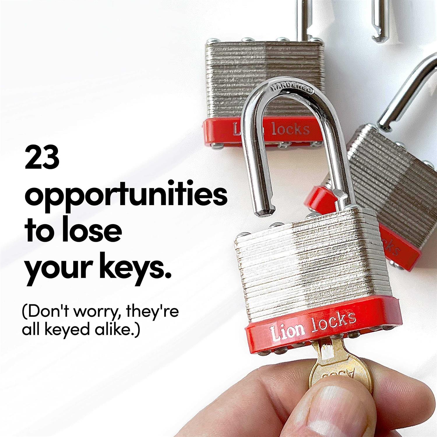 Lion Locks 12 Keyed-Alike Padlocks w/ 1.25” Shackle Keys - MT - Mrs Treak