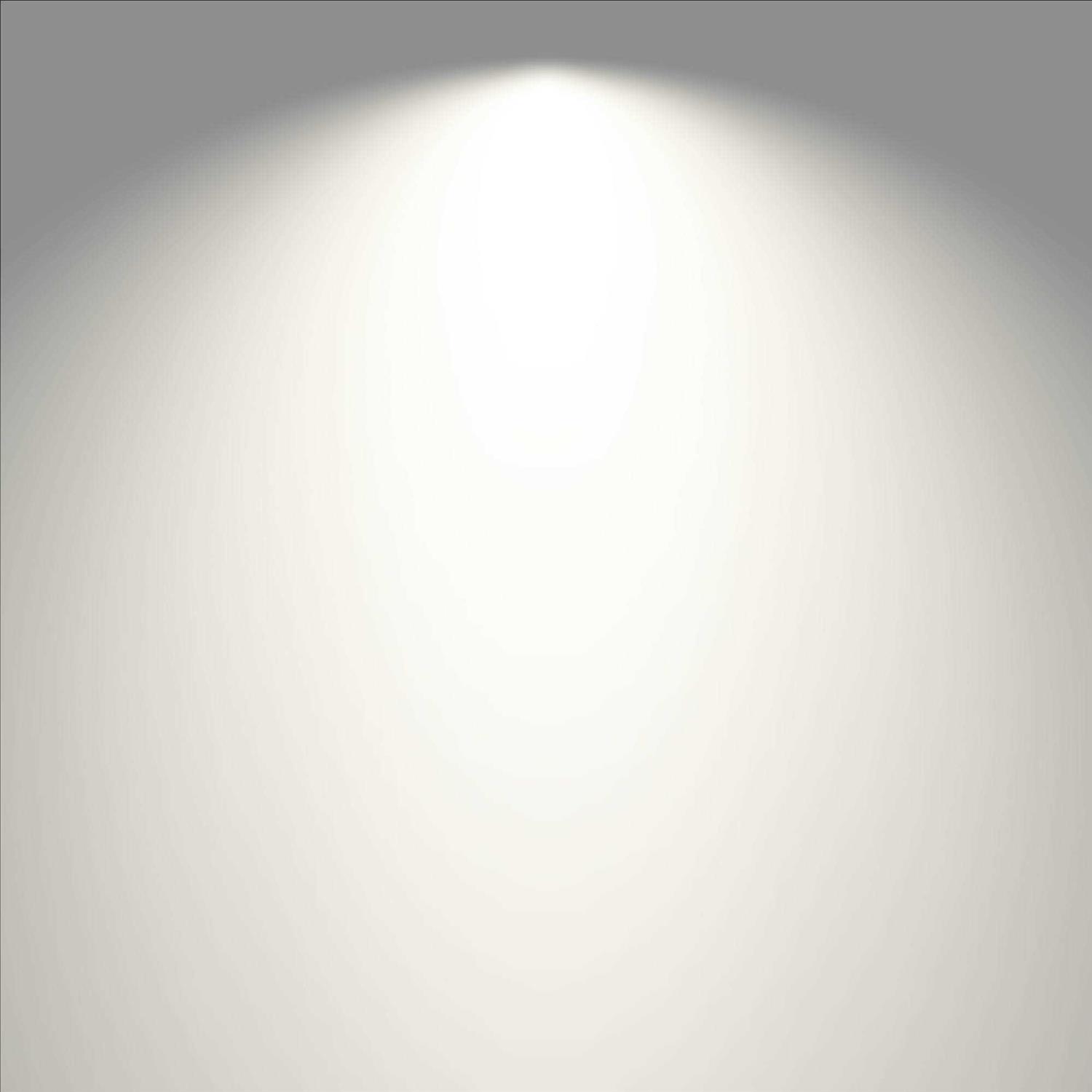 Lutron MA-T51MN-WH Maestro Countdown Timer - MT - Mrs Treak