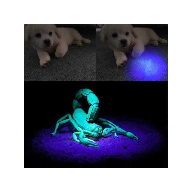 LDR William Harvey 090360 Designer Sink Plunger 4 - MT - Mrs Treak